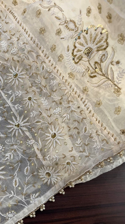 Pure Organza Silk Anarkali – Hand-Embroidered Chikankari & Luxe Embellishments