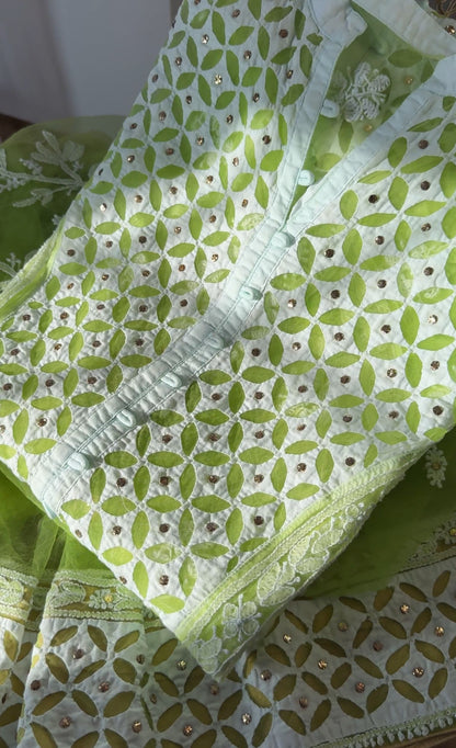 Lime Green Lucknowi Chikankari Suit on Net with Mukaish & Cutwork Applique